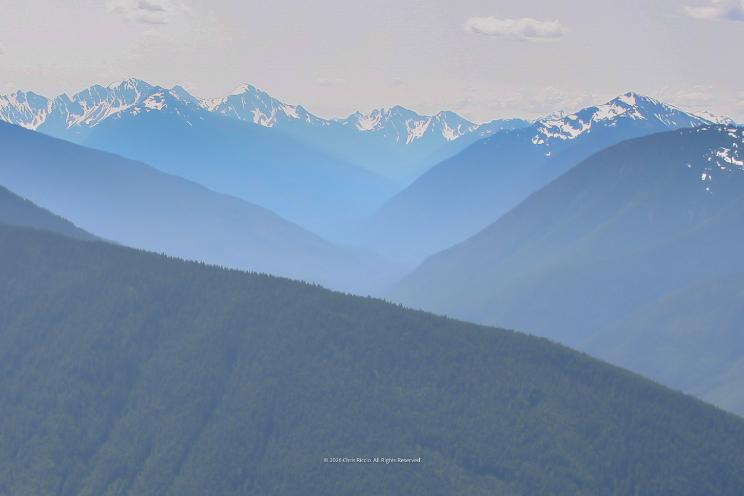 Hurricane Ridge